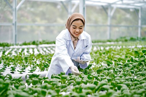 Quality Control Checkpoints in Export Operations